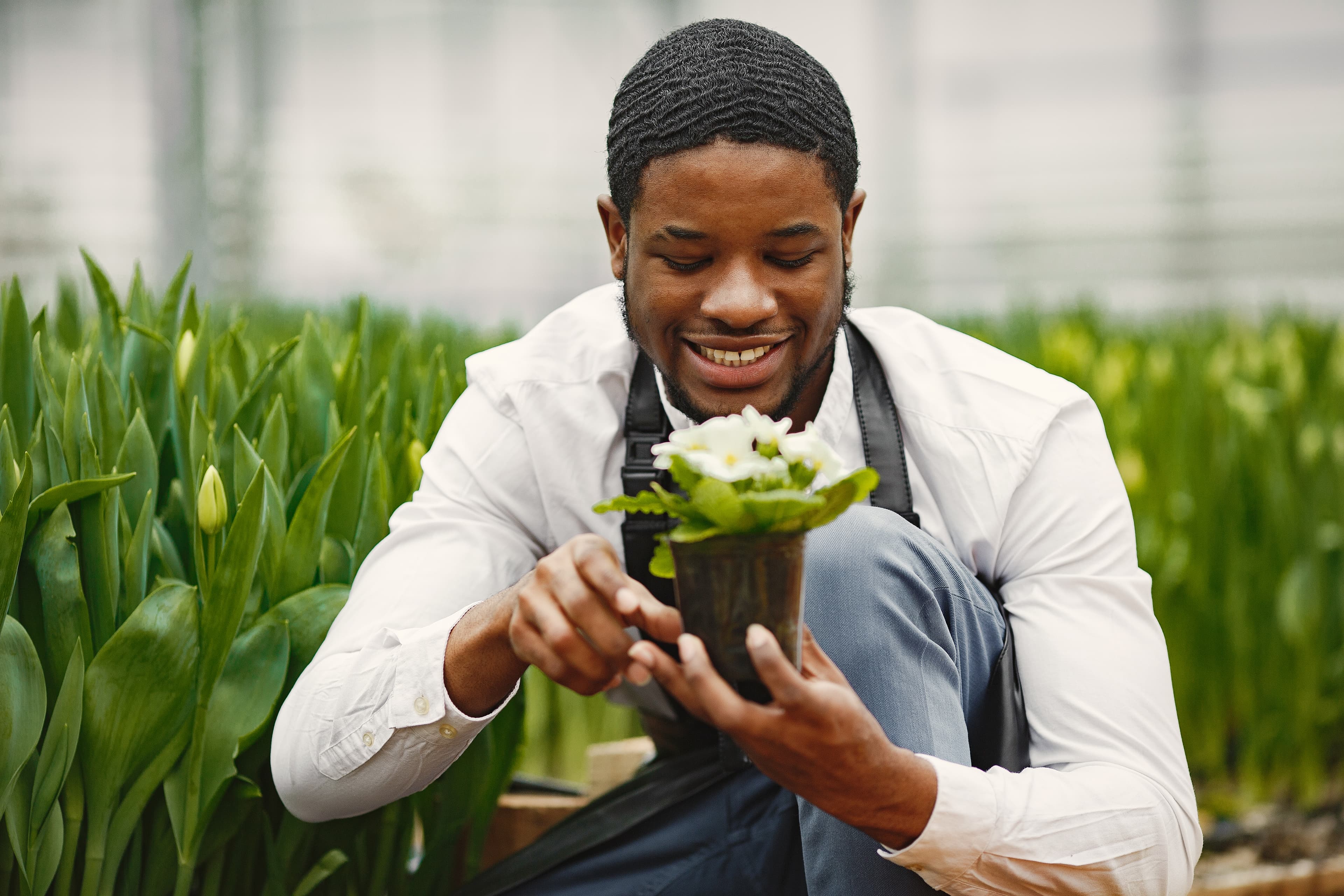 Gardener in greenhouse with flowers