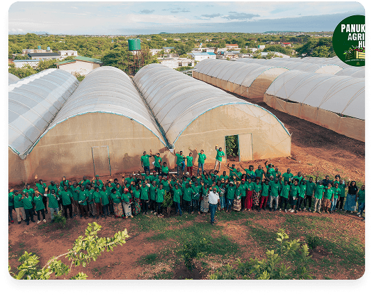 Panuka Farm climate-proofed farming case study