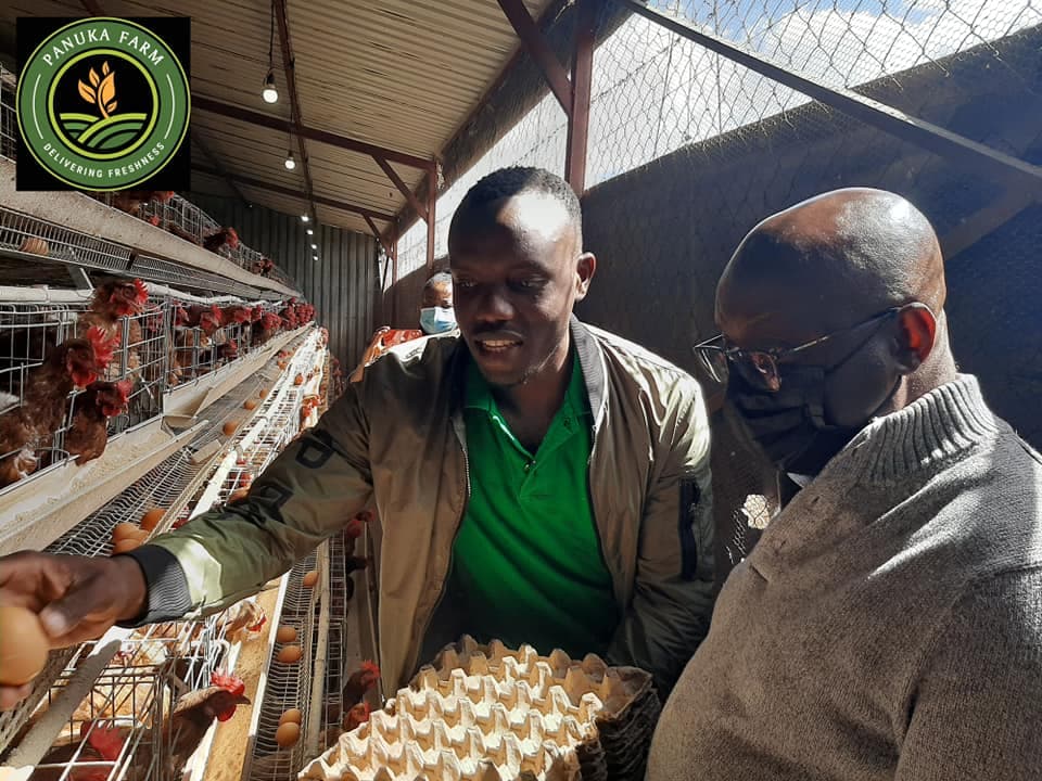 Panuka Farm climate-proofed farming case study