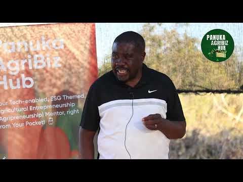 Mr. Wamulume Mataa