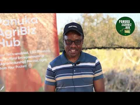 Dr. Jonas Mwale
